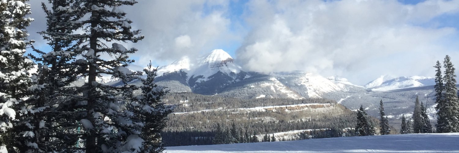 Mesley Walaby banner