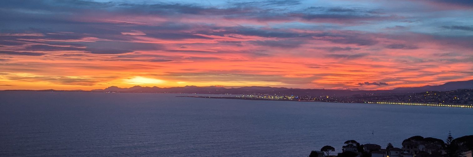 avocaiglon's profile banner image