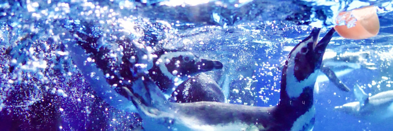 るるなっく banner