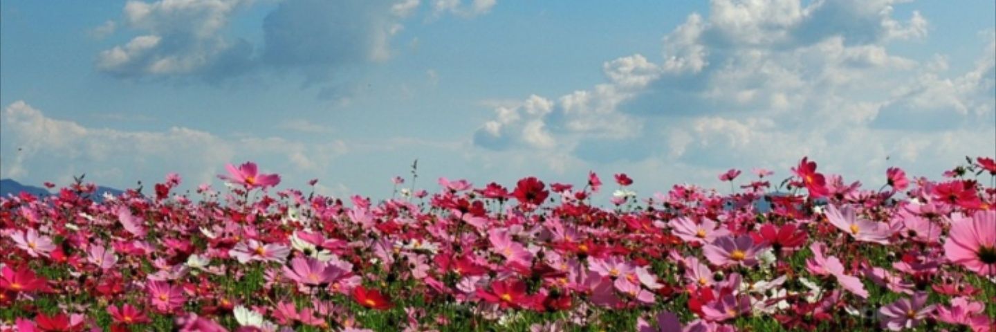 ericsky7's profile banner image