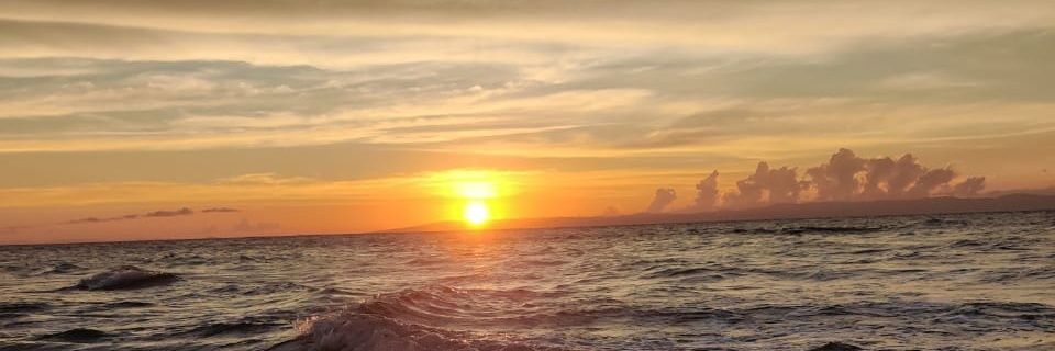 komalnjadhav's profile banner image