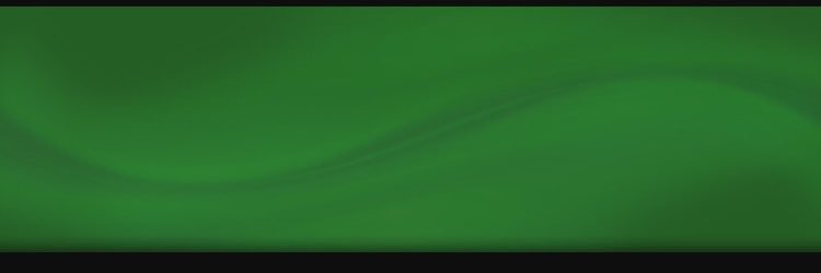 Anna Roley banner