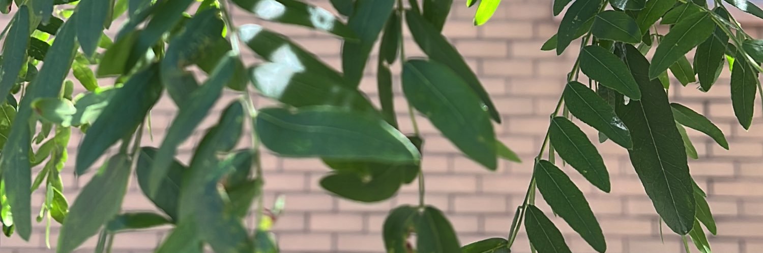 kidd_eth's profile banner image