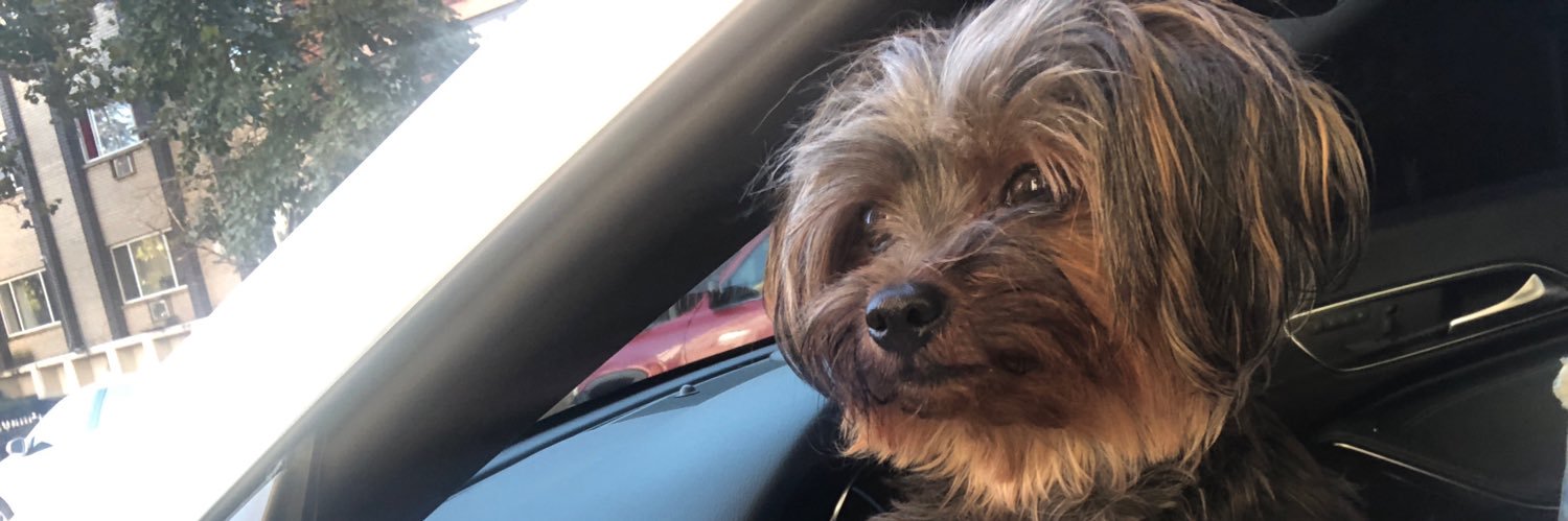 nellypresh2's profile banner image