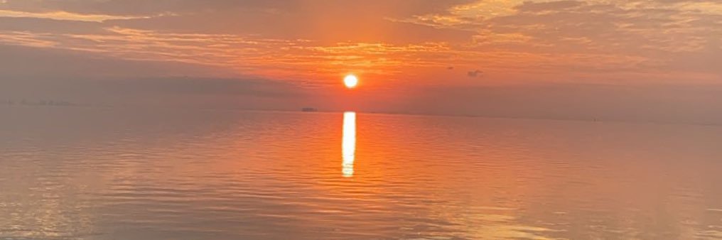 تاليسكا اليامي banner