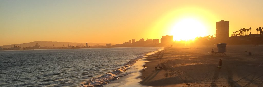 Madison Femia banner