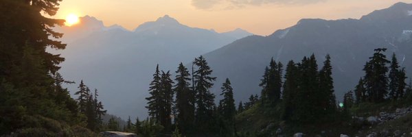 JuncoWren Profile Banner