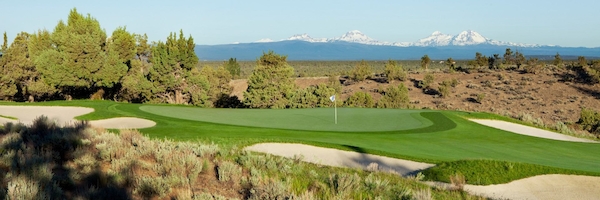 Michael A Geers banner