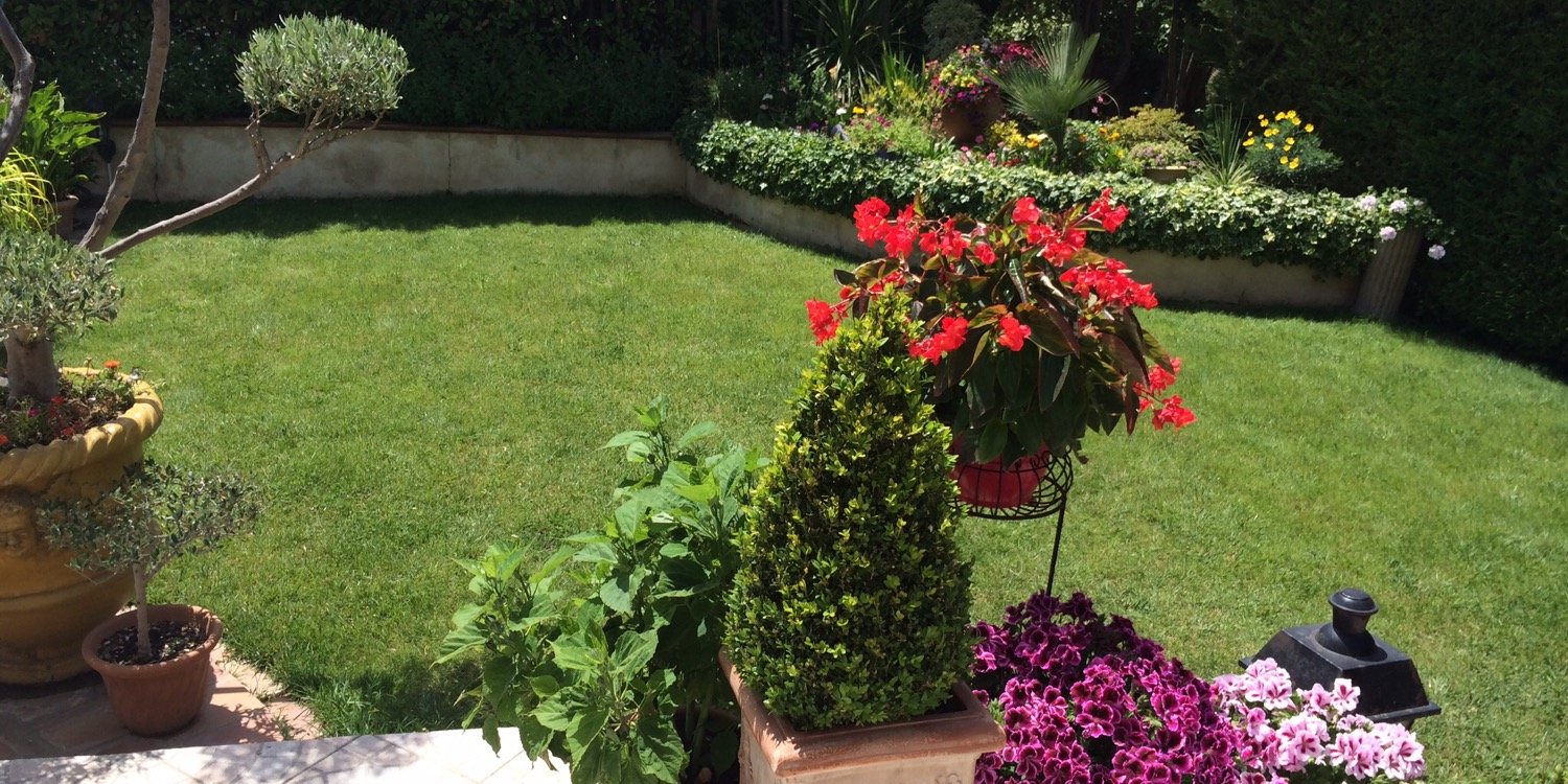 guli10501481's profile banner image