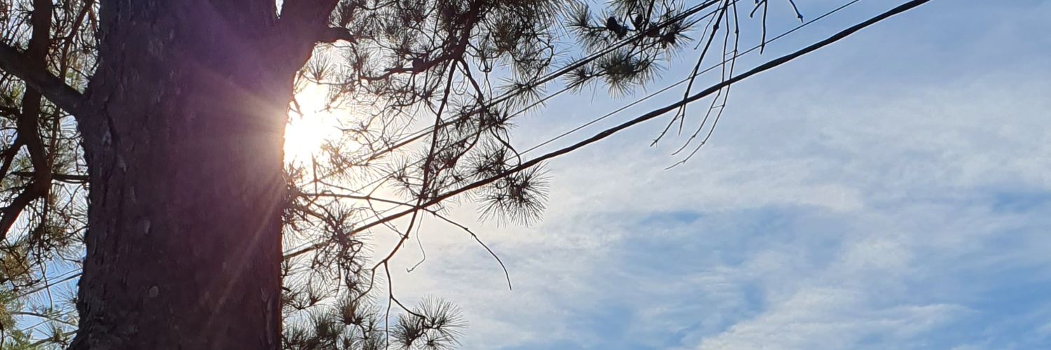 meli_font's profile banner image