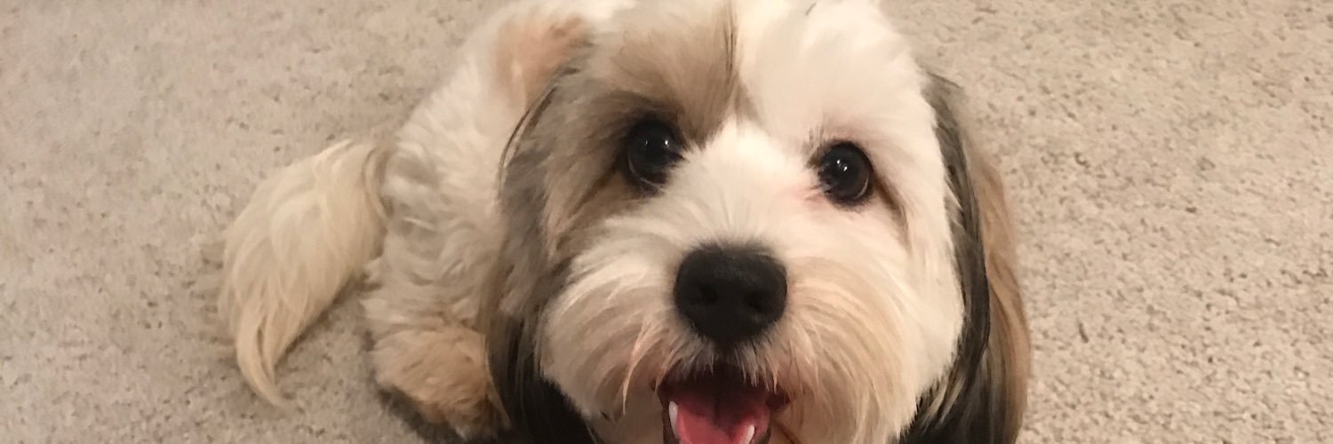 skeefer1031's profile banner image