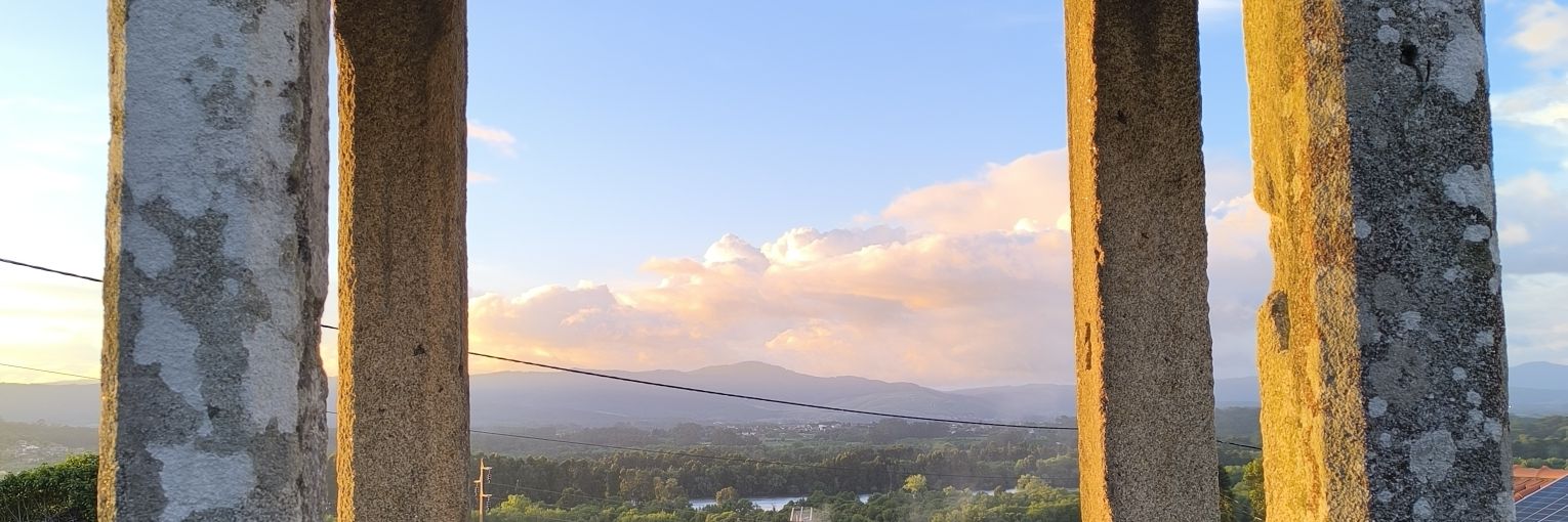 meryvigo's profile banner image