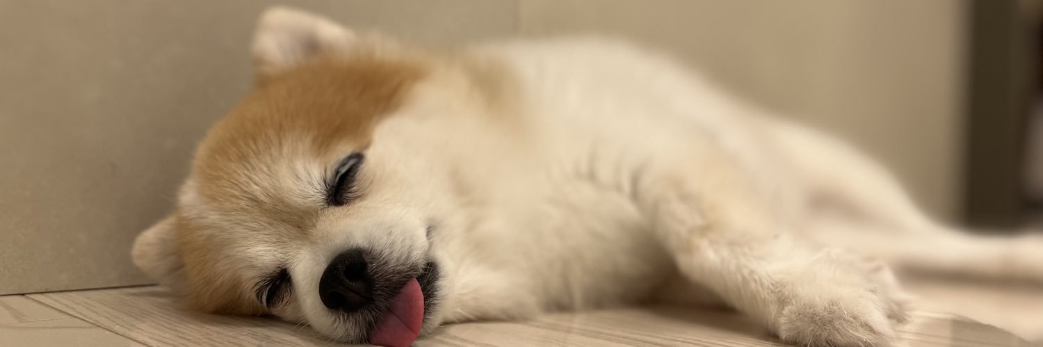 Sayatak2's profile banner image