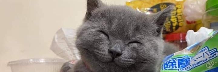 PricesFreedom's profile banner image