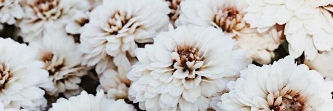 Brooklyn Brenneis banner