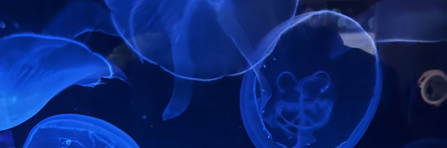 hartmank48's profile banner image
