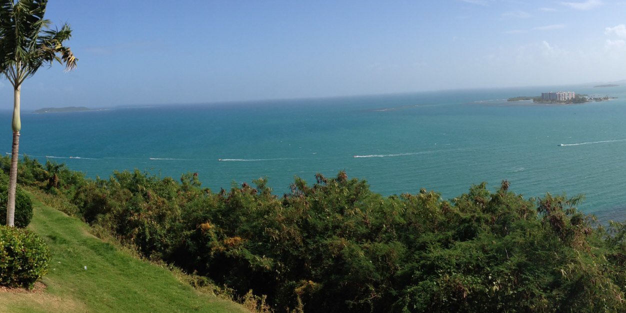 Eli Blumenthal banner