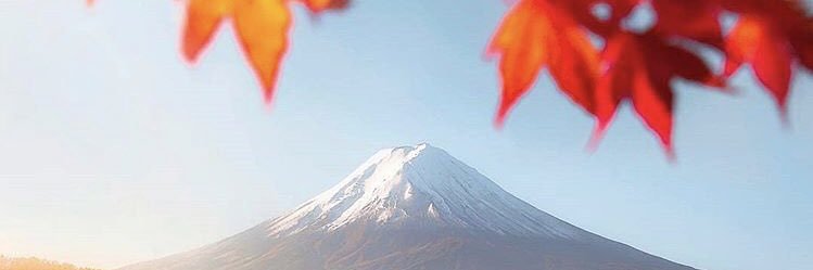 DancinQueen83's profile banner image