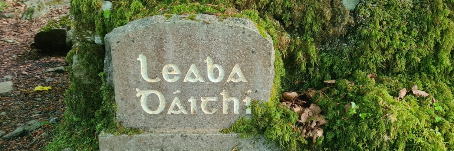 David Gunning banner