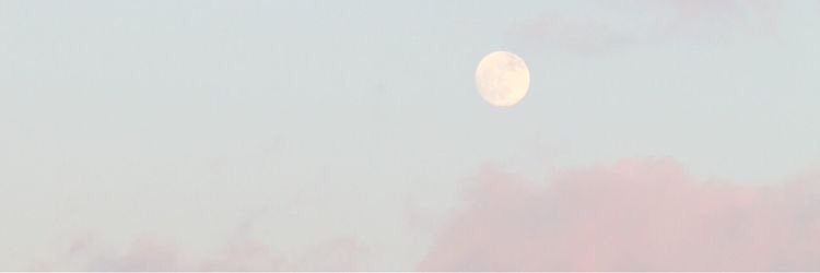tay_stucch's profile banner image