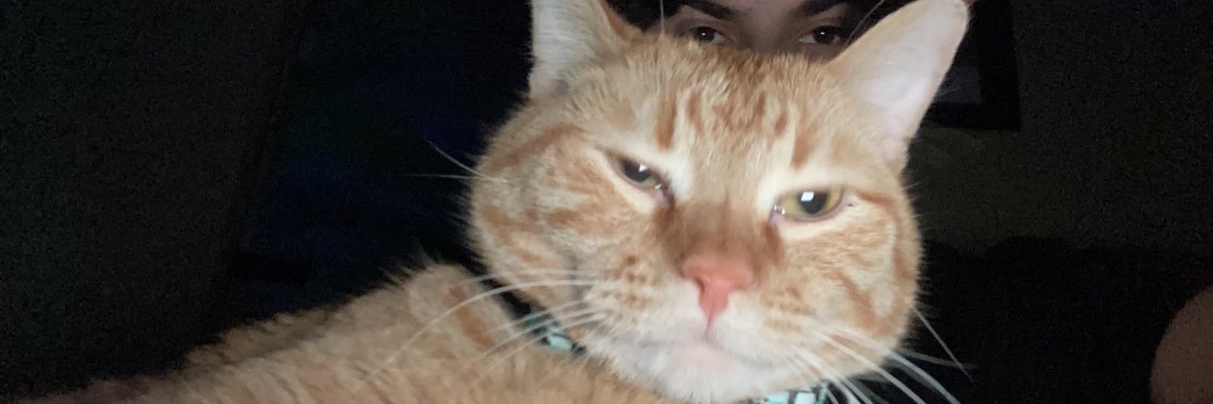 A0RS18's profile banner image