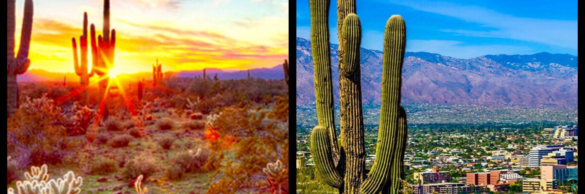 starranch8's profile banner image