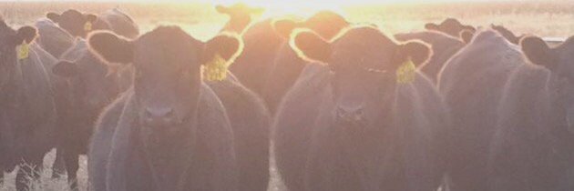 Principles_Nutr's profile banner image