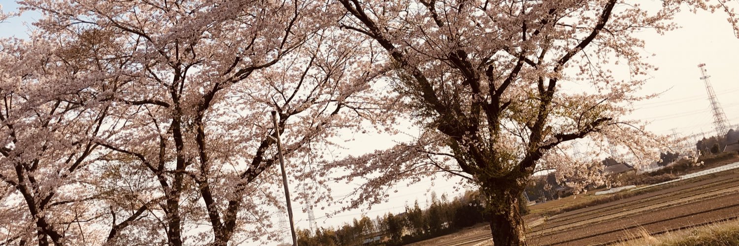 大久保樹's banner