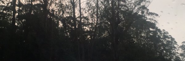 TOLEDOSP Profile Banner
