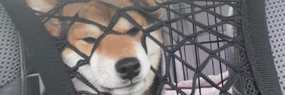 masterwacko126's profile banner image