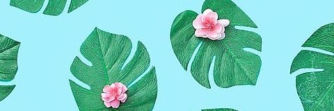 ️ 副業垢💗 banner
