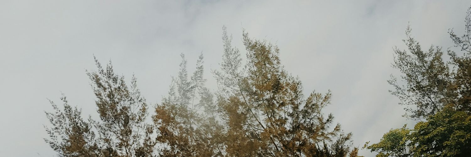 _PiJey's profile banner image