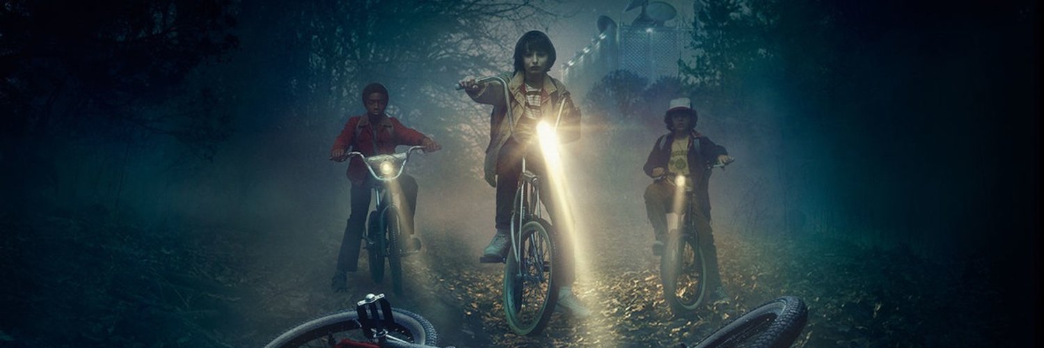Stranger Things Fans banner