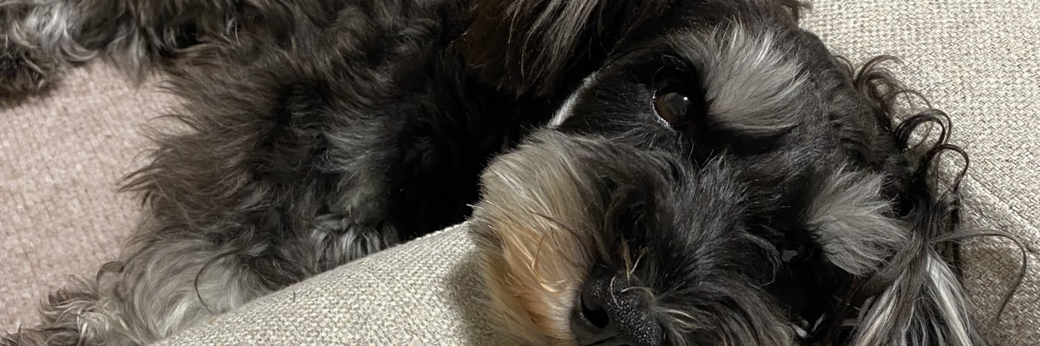 pocketDa's profile banner image