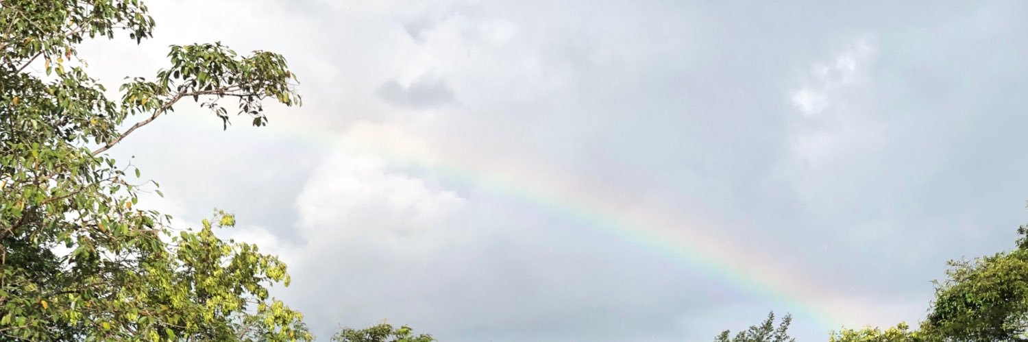 buttercup banner