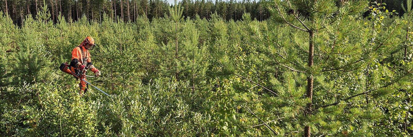 Metsämiesten Säätiö's banner