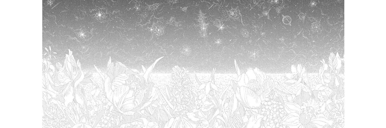 ﾆ banner