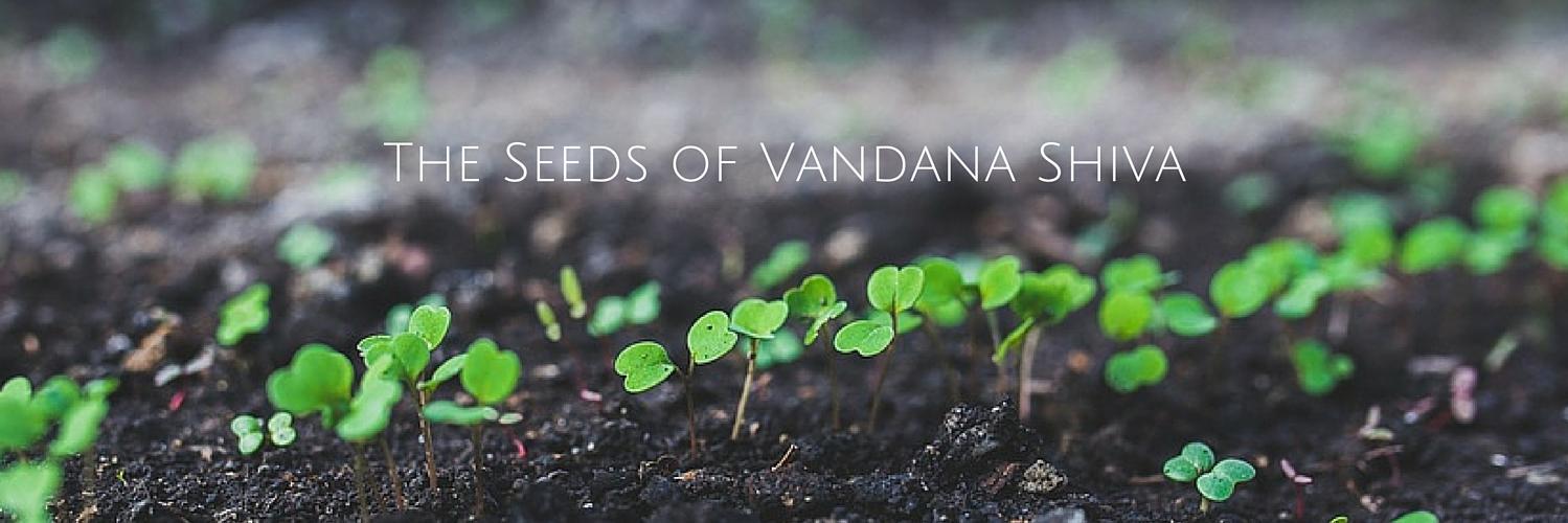 The Seeds of Vandana Shiva banner