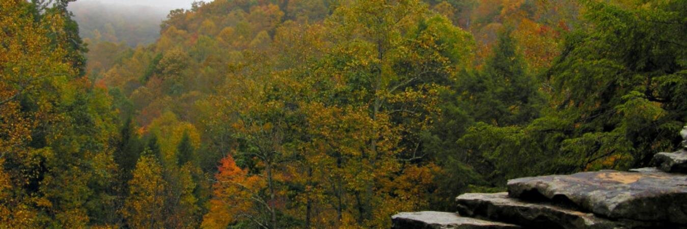alpharanger's profile banner image