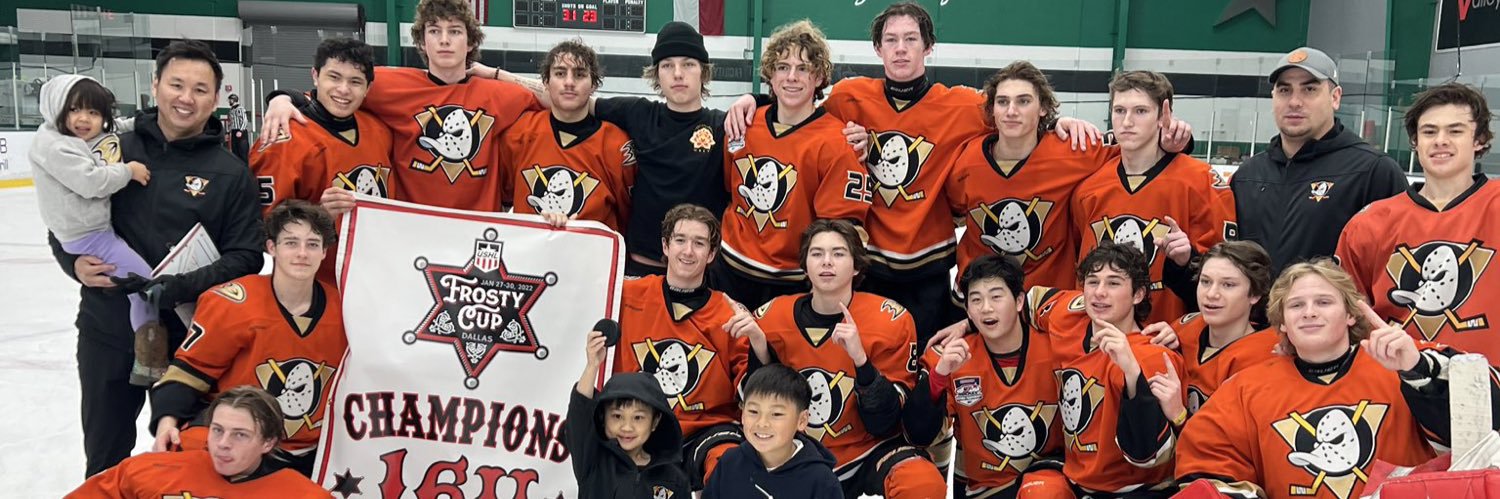 Jr Ducks 16 AAA banner