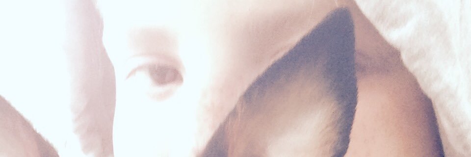Agent Lucas banner