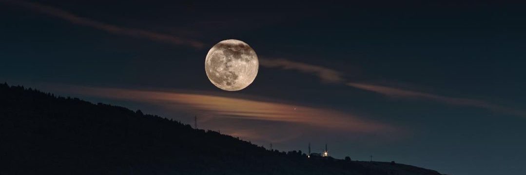 LulyLupi's profile banner image