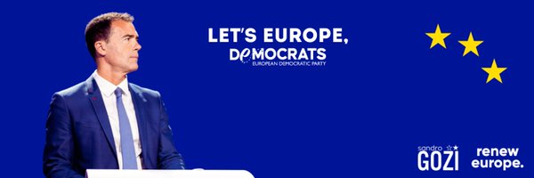 sandrogozi Profile Banner