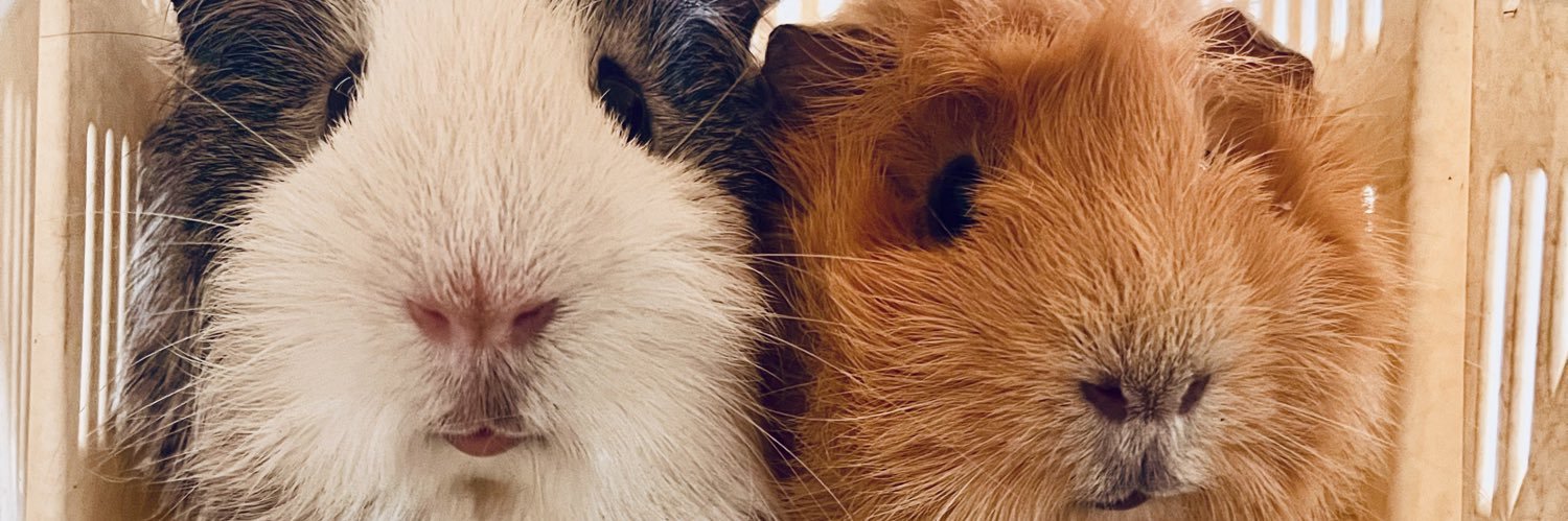 46PotatoGod's profile banner image