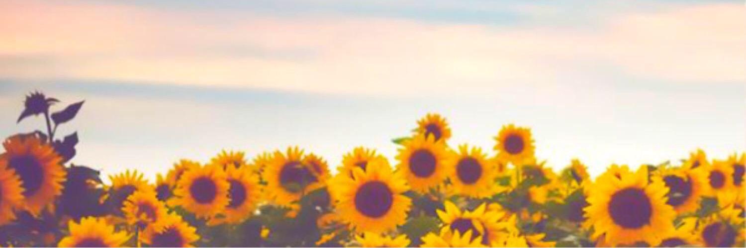 JaniraMaree's profile banner image