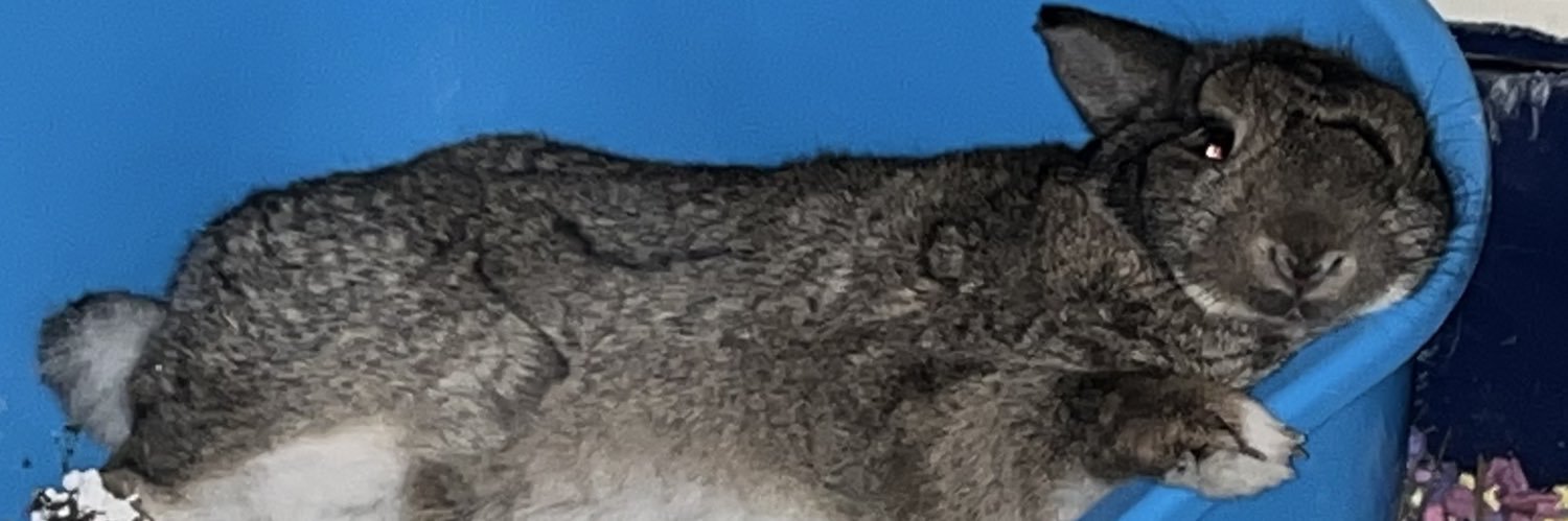 ☆NerdyFreak☆ banner