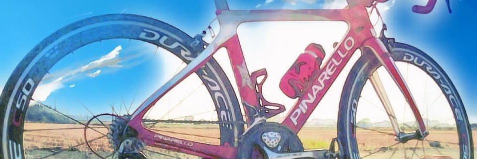 pinaame's profile banner image