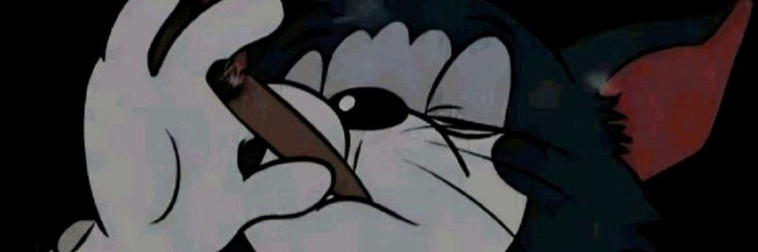 SavageHooper17's profile banner image