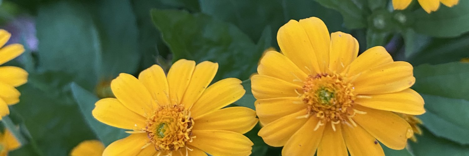 Ati.att 🌷🫧 banner