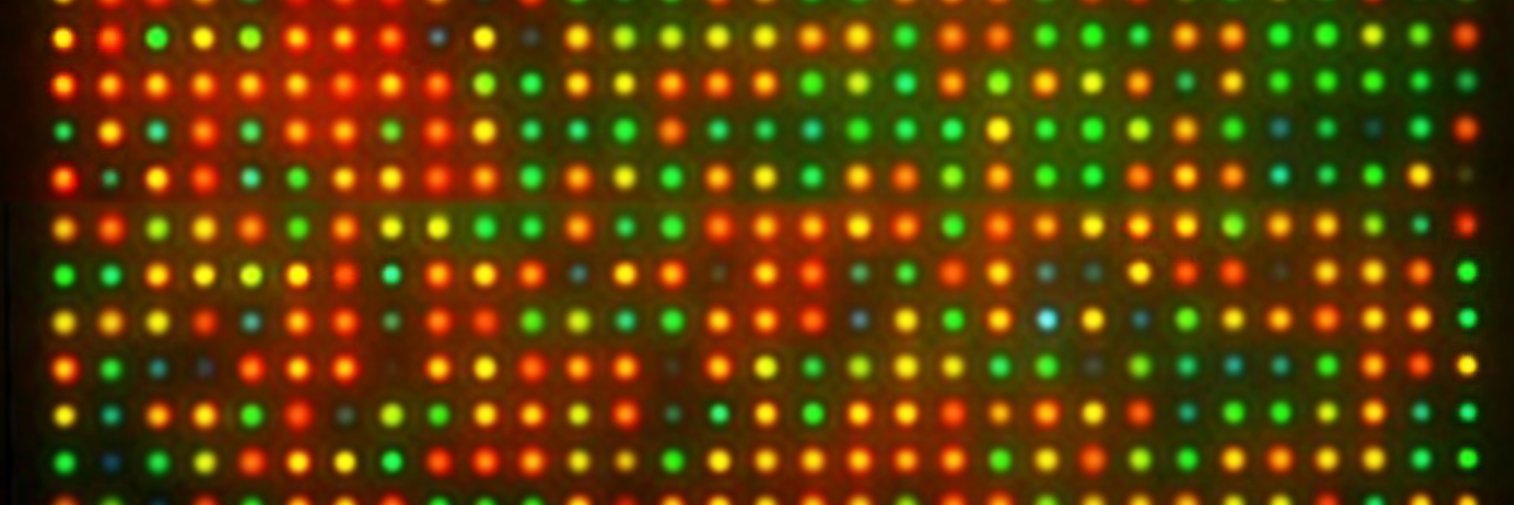 Alasdair W Clark banner